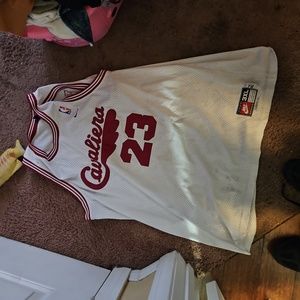 LeBron James Cleveland Cavaliers NIKE basketball jersey